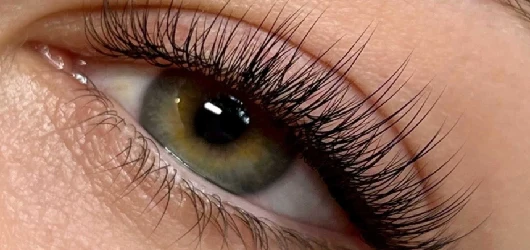 Lashes