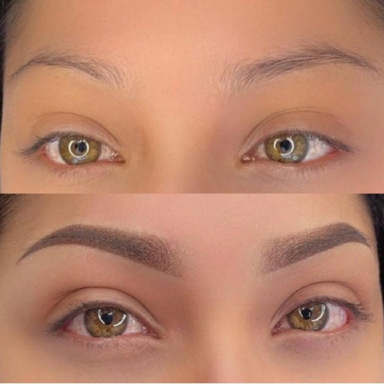 Micropigmentation Combo Course — Covers powder brows, eyeliner, and lip blushing